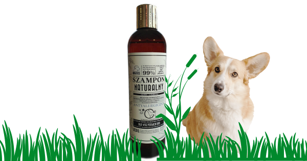 antyalergiczny szampon dla psów