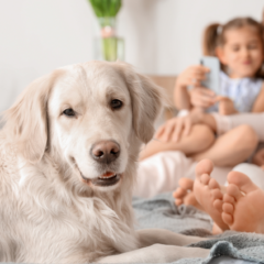 Jak przygotować dziecko do adopcji psa. Porady dla rodziców.