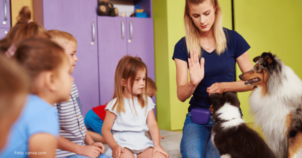 Pies w edukacji. Moda czy realna potrzeba