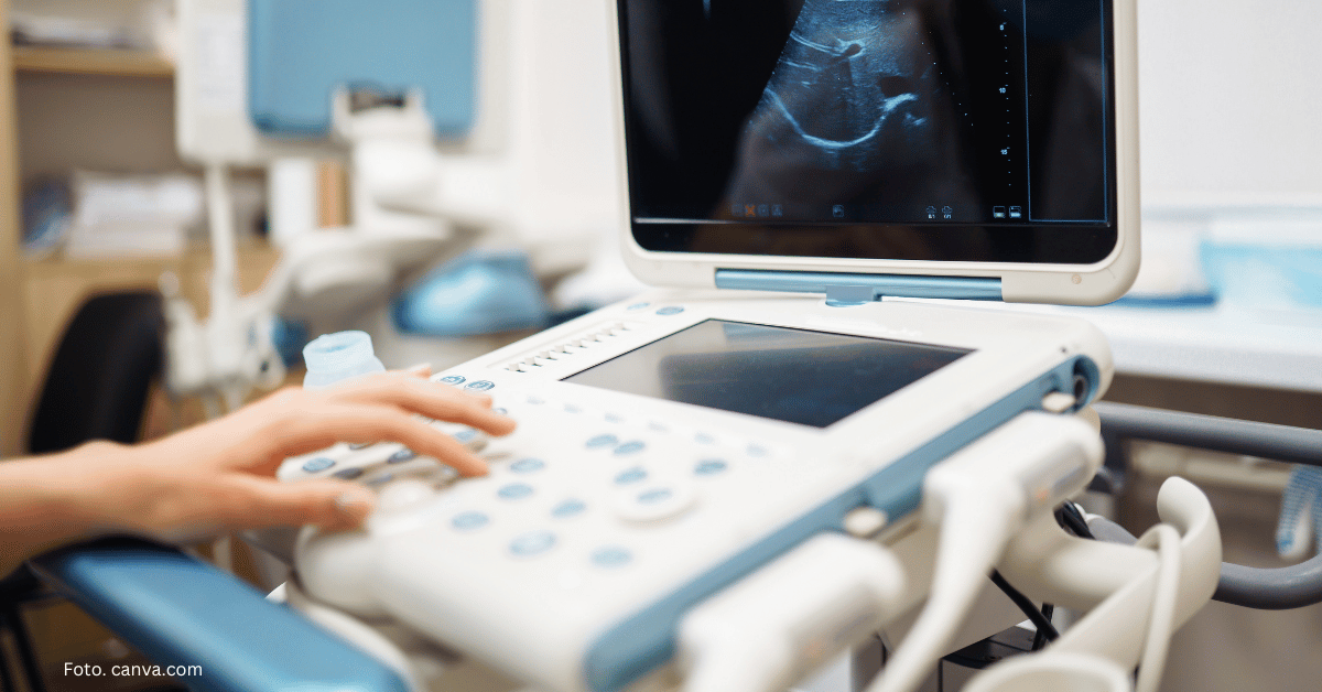 Co można zobaczyć przez futerko? Rola USG w diagnostyce chorób gryzoni i królików