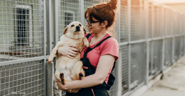 Pies ze schroniska tulący się do nowej opiekunki podczas adopcji.