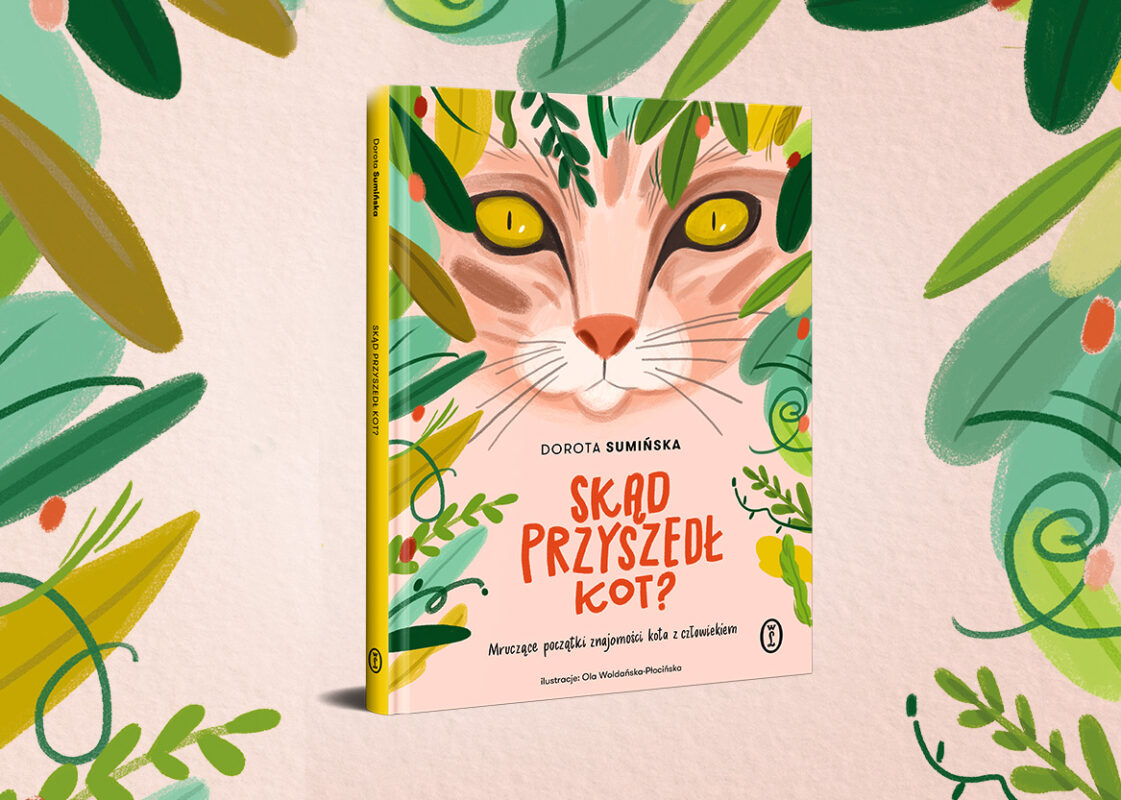 Dorota Sumińska “Skąd przyszedł kot?” Dorota Sumińska “Skąd przyszedł kot?”