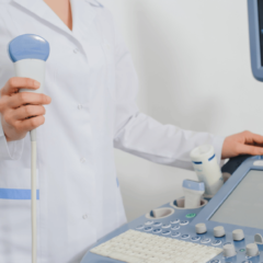 Co widać przez pióra? Wykorzystanie badania usg w diagnostyce chorób ptaków