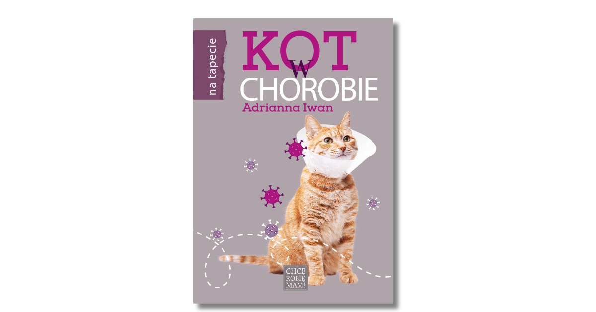 Kot w chorobie