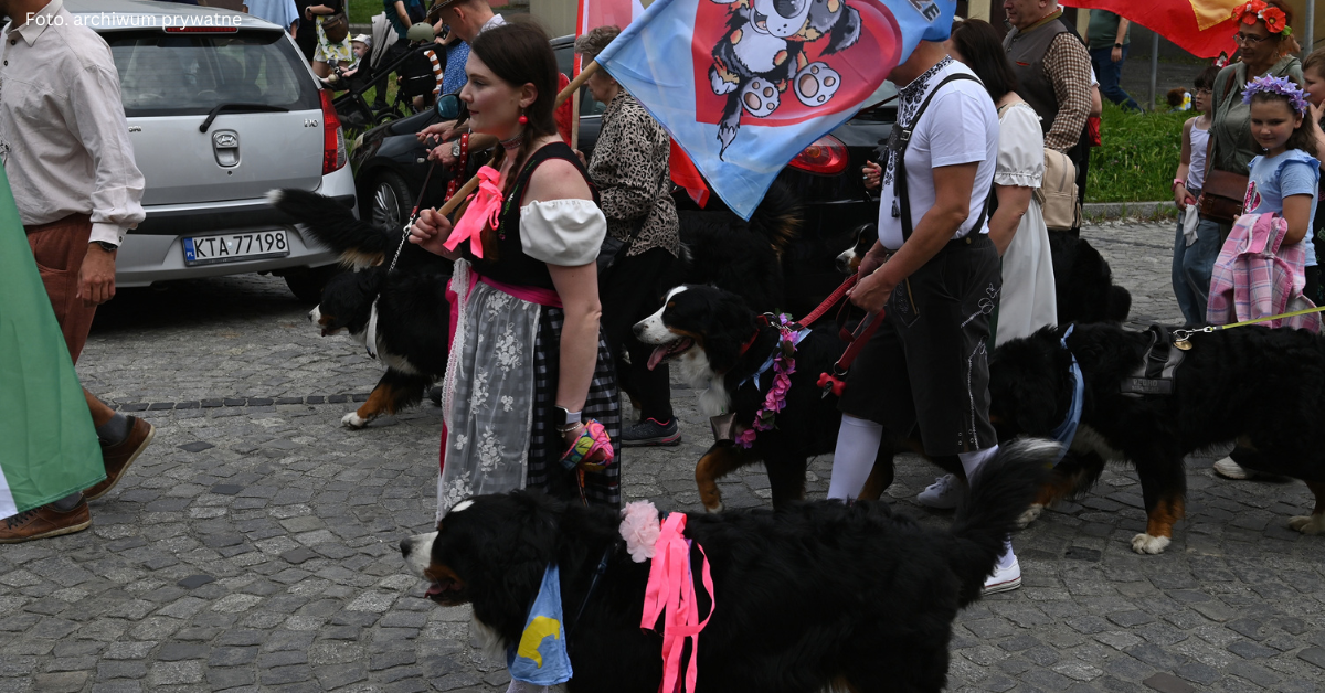 Od miłości do berneńskich psów pasterskich do parady „Tarnów w tricolorze”