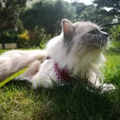 fot. Agata Bladkowska