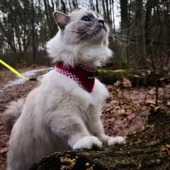 fot. Agata Bladkowska