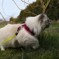 fot. Agata Bladkowska