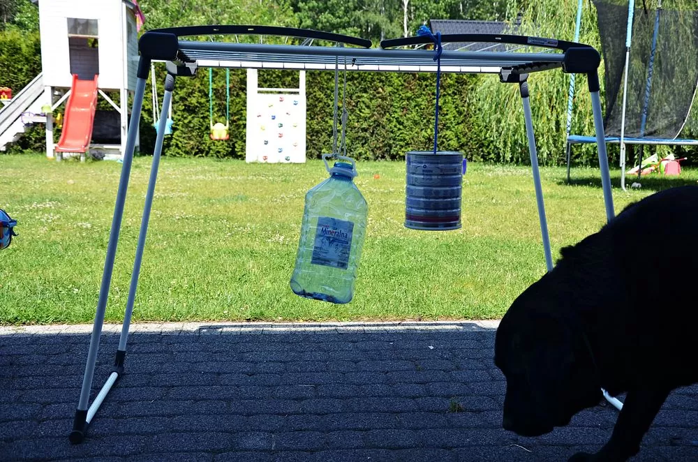 zrób to sam dla psa