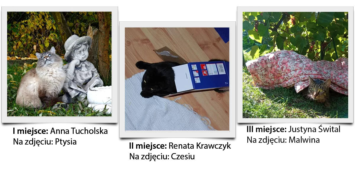 Wyniki konkursu fotograficznego
