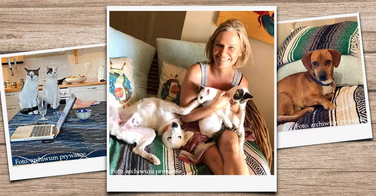 Paulina Młynarska i jej Zwierzyniec. Paulina Młynarska i jej Zwierzyniec.