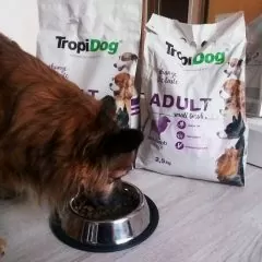 karma tropidog smakuje psom