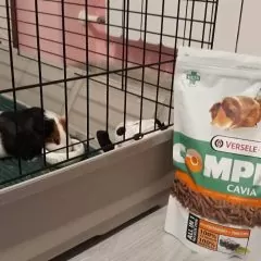 karma dla kawii