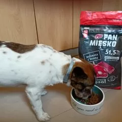 Pan mięsko