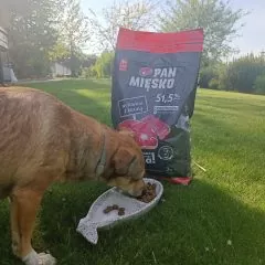 Karma dla psów Pan Mięsko