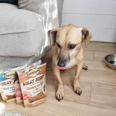 Przysmaki Carnilove Meat Jerky