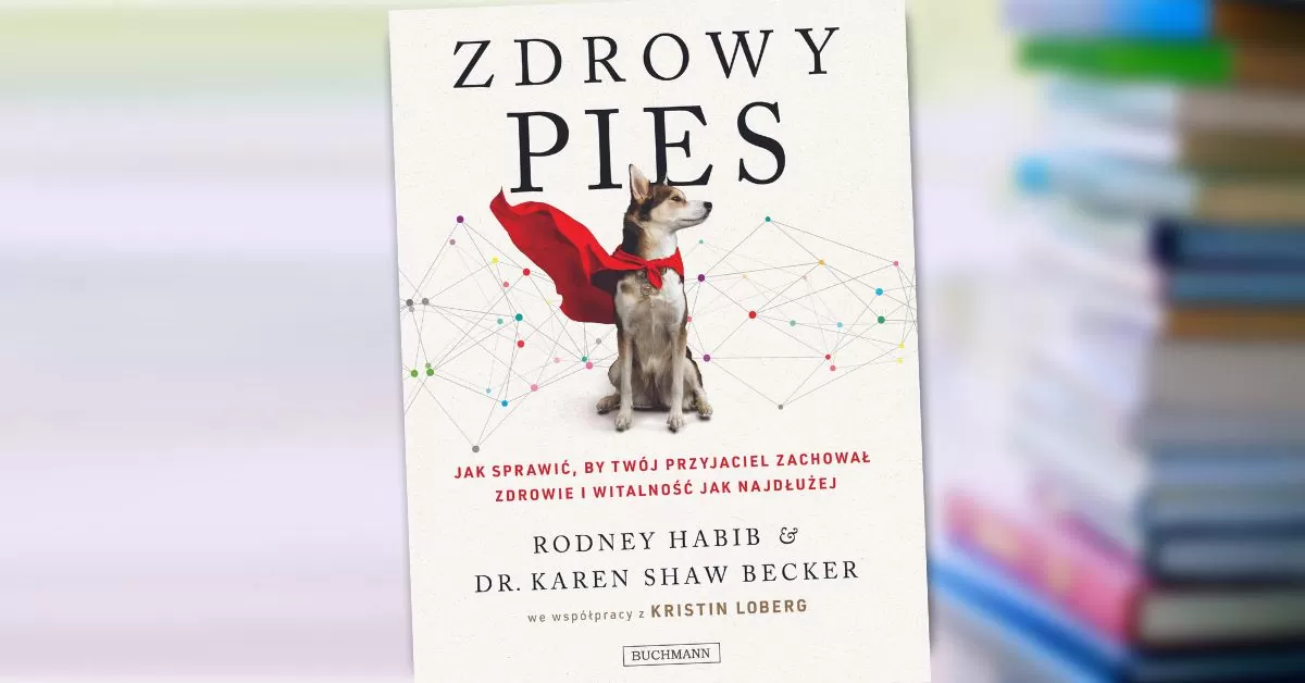 Zdrowy pies. Jak sprawić, by Twój przyjaciel zachował młodość i witalność jak najdłużej.