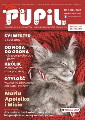 magazyn pupil okładka