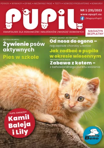 magazyn pupil okładka