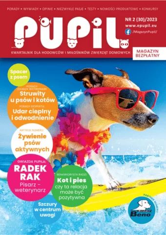 magazyn pupil okładka