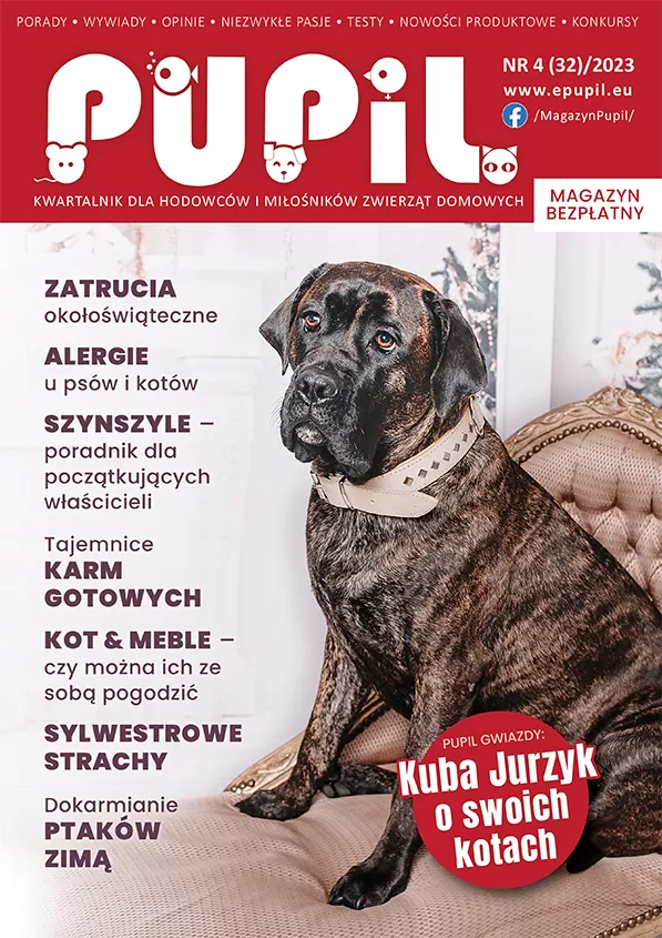 magazyn pupil okładka
