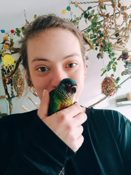 czy papuga dla dziecka