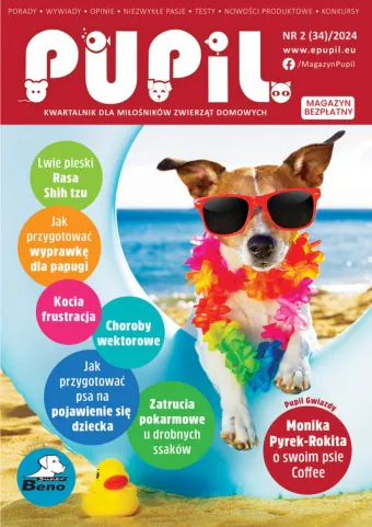 magazyn pupil okładka