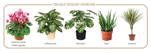 rośliny niebezpieczne dla gryzoni