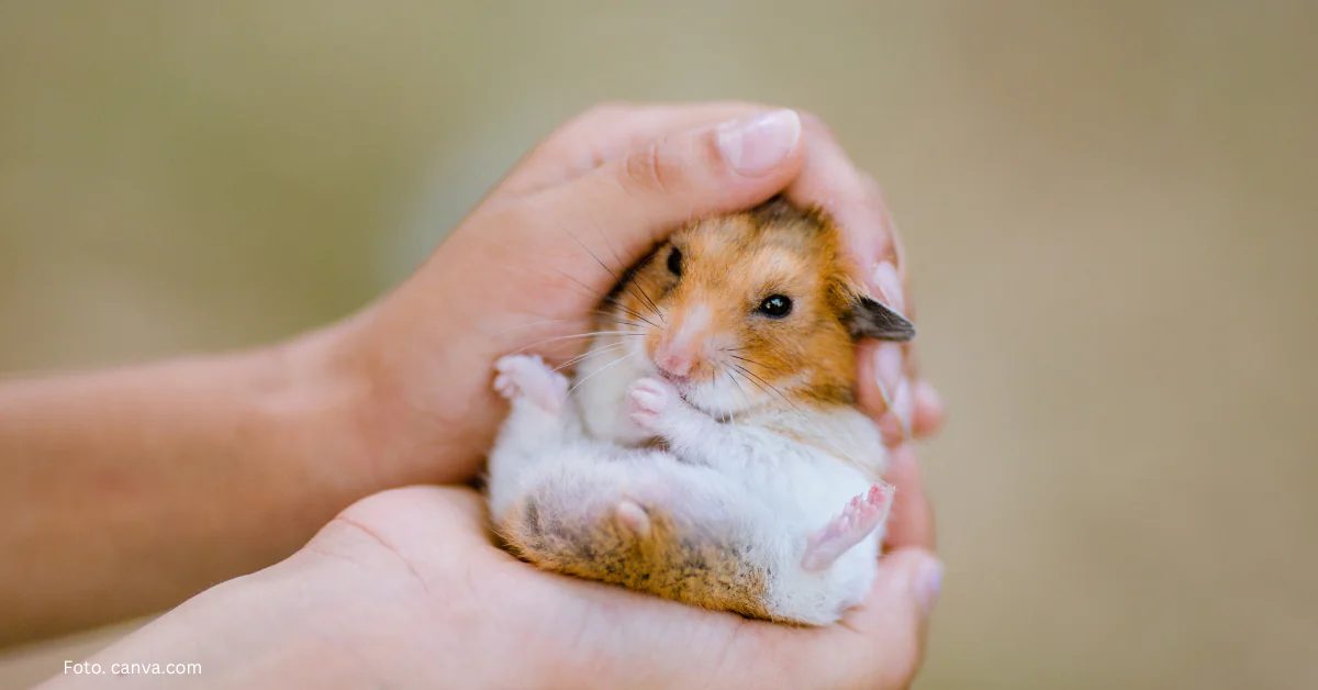 Zatrucia pokarmowe u drobnych ssaków Zatrucia pokarmowe u drobnych ssaków