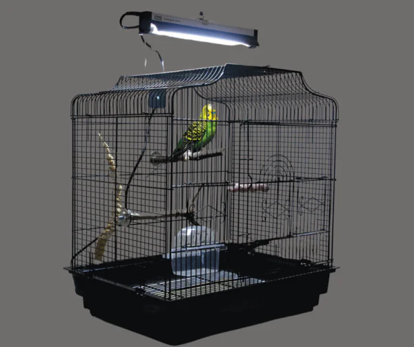 Opieka nad papugami w miesiącach zimowych