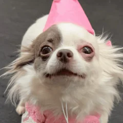 Na lodzie i w życiu – zawsze razem. Rozmowa z Ekateriną Kurakovą o Emilce