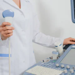 Co widać przez pióra? Wykorzystanie badania usg w diagnostyce chorób ptaków