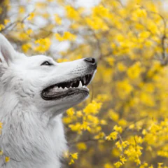 Pasja, która uszczęśliwia… Rozmowa z Alicją Bochenek, fotografką i autorką konta fotki_z_pieca