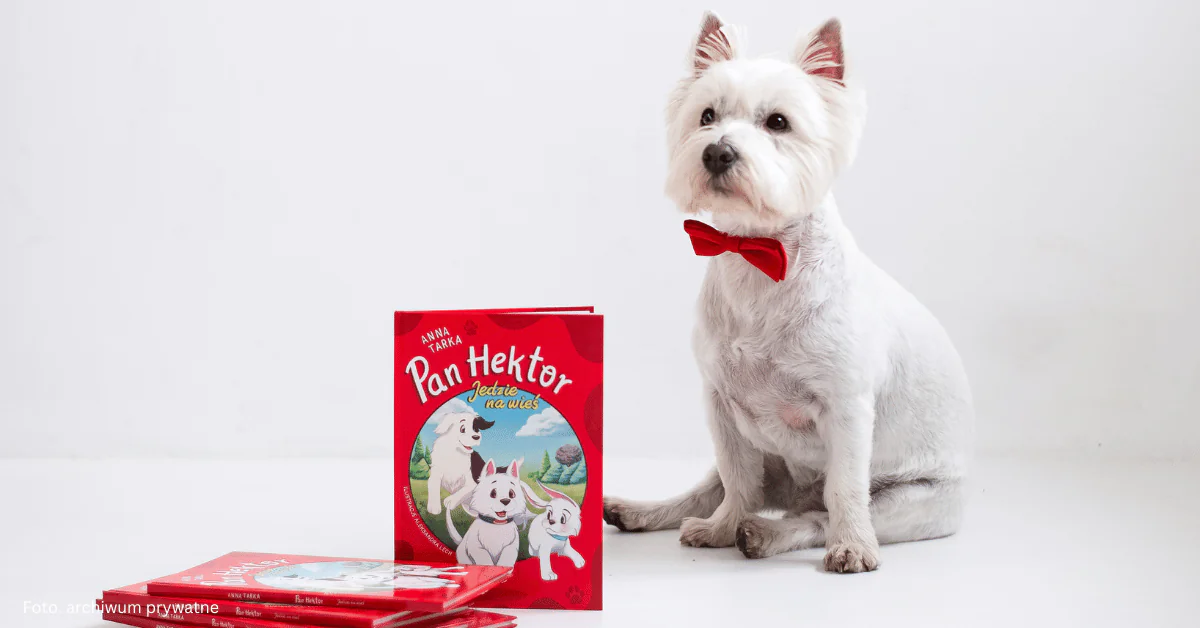 Pan Hektor – bohater Internetu