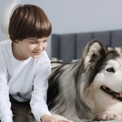 Kiedy pies nie chce kontaktu z dzieckiem. O psiej komunikacji