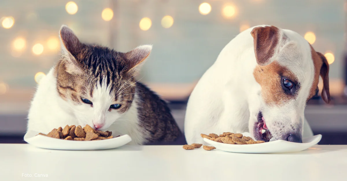 Nie tylko trawienie.  Jak mikrobiota jelitowa wpływa na zdrowie zwierząt?
