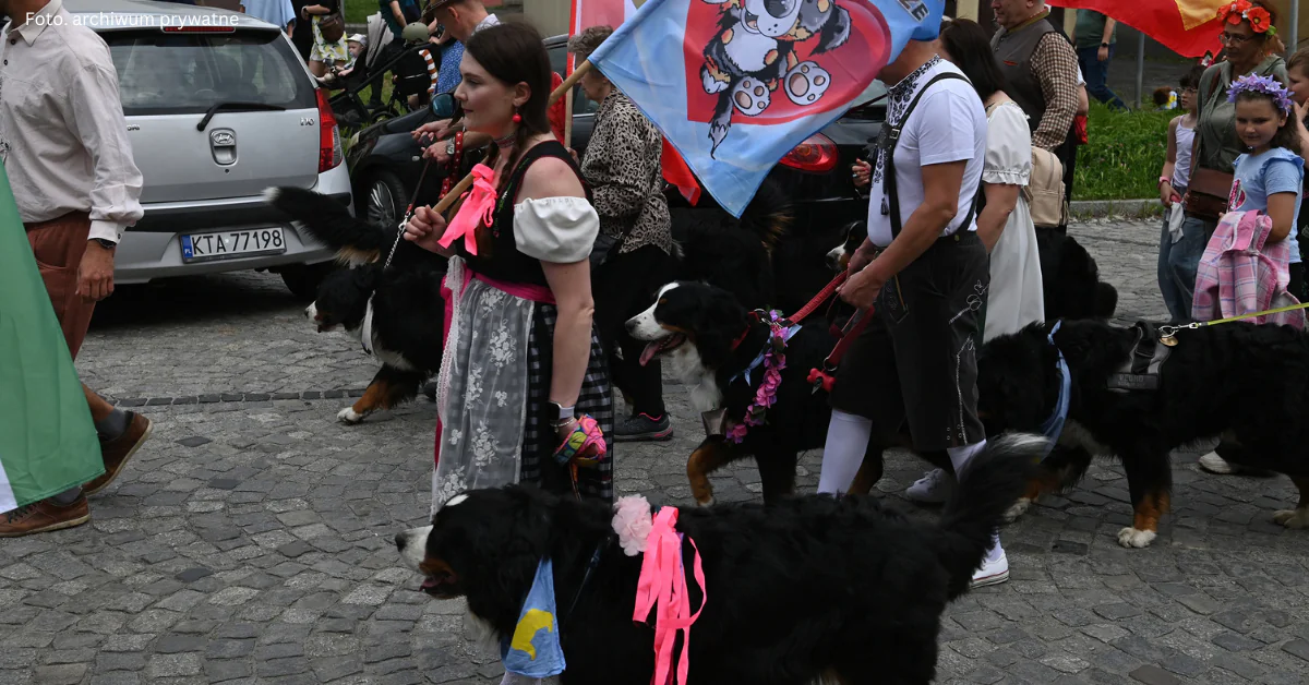 Od miłości do berneńskich psów pasterskich do parady „Tarnów w tricolorze”